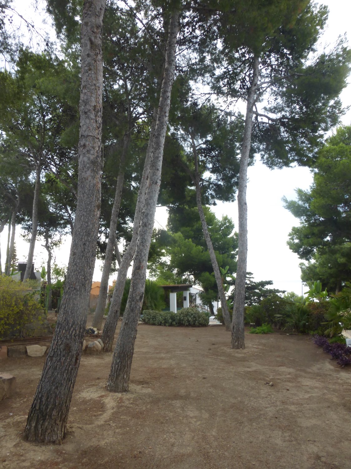 Villa en vente à Málaga