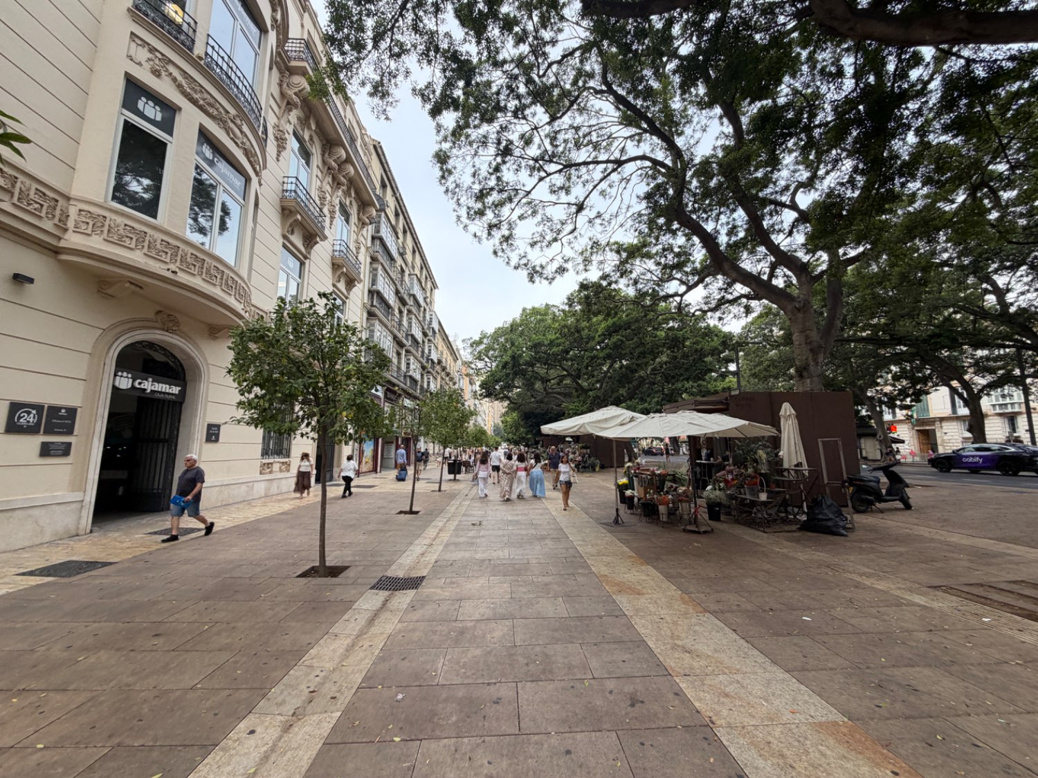 Business en lloguer in Centro histórico (Málaga)