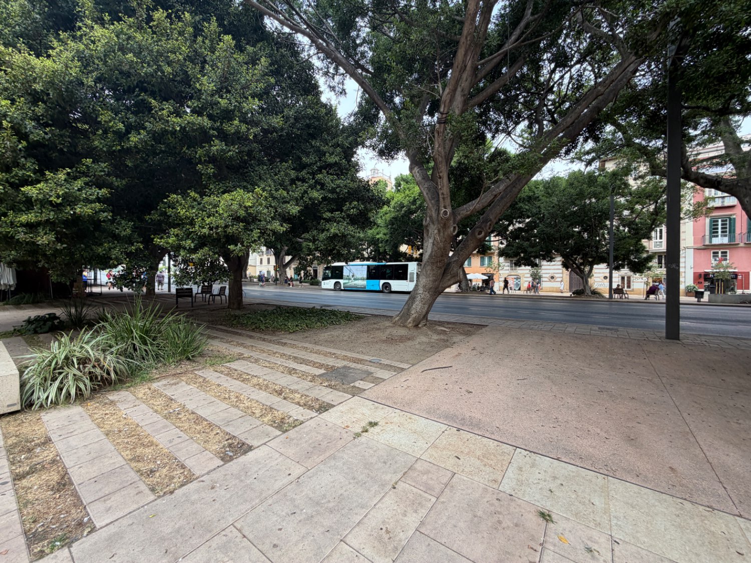 Business en lloguer in Centro histórico (Málaga)