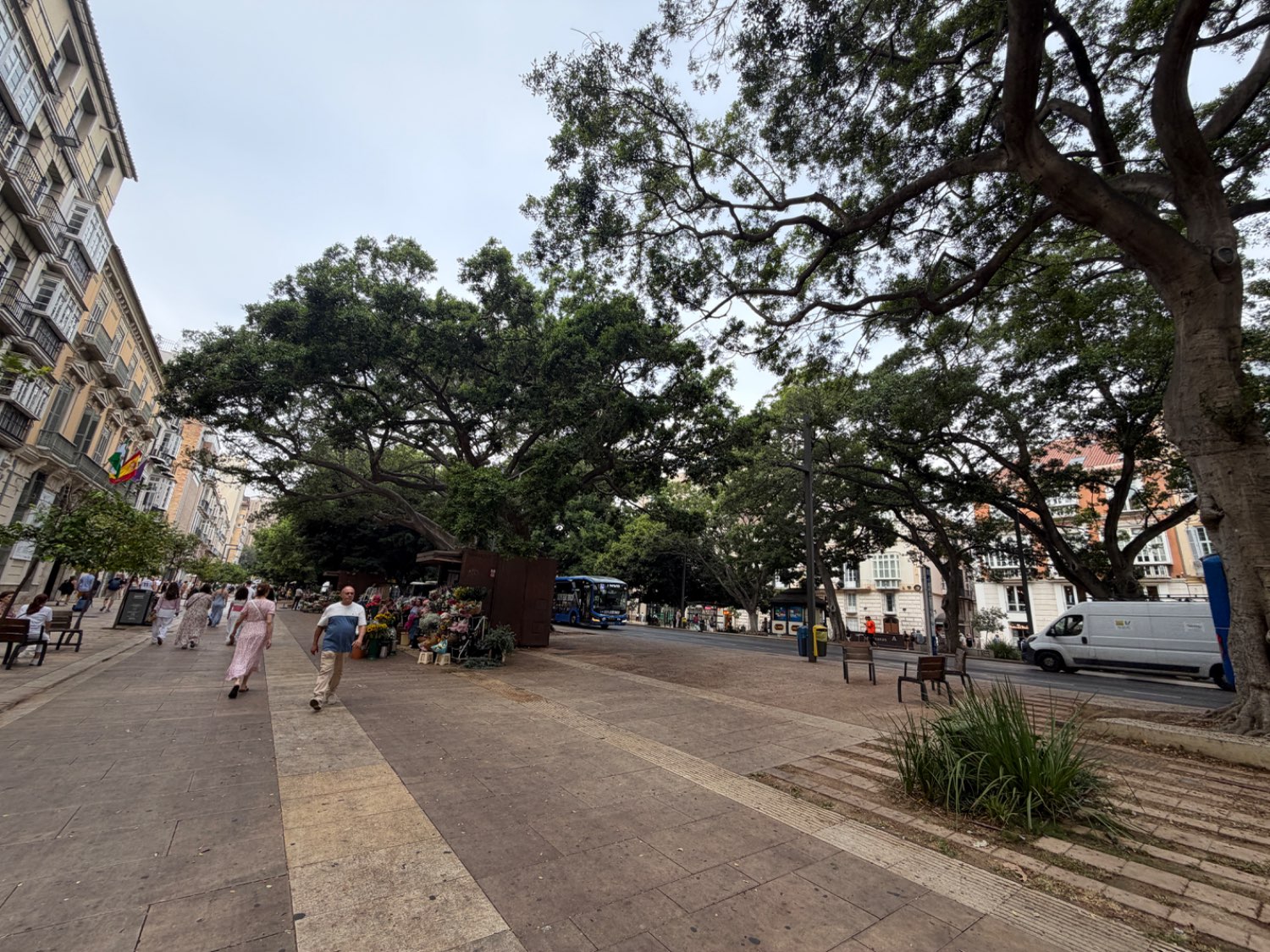 Business en lloguer in Centro histórico (Málaga)