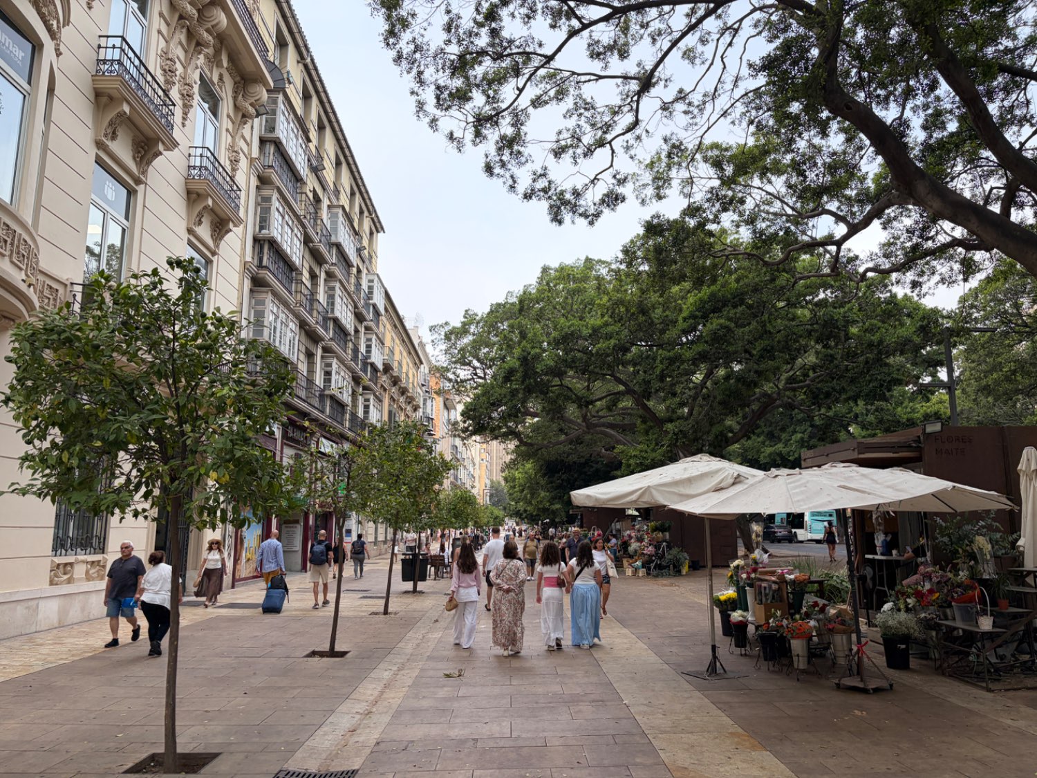 Business en lloguer in Centro histórico (Málaga)