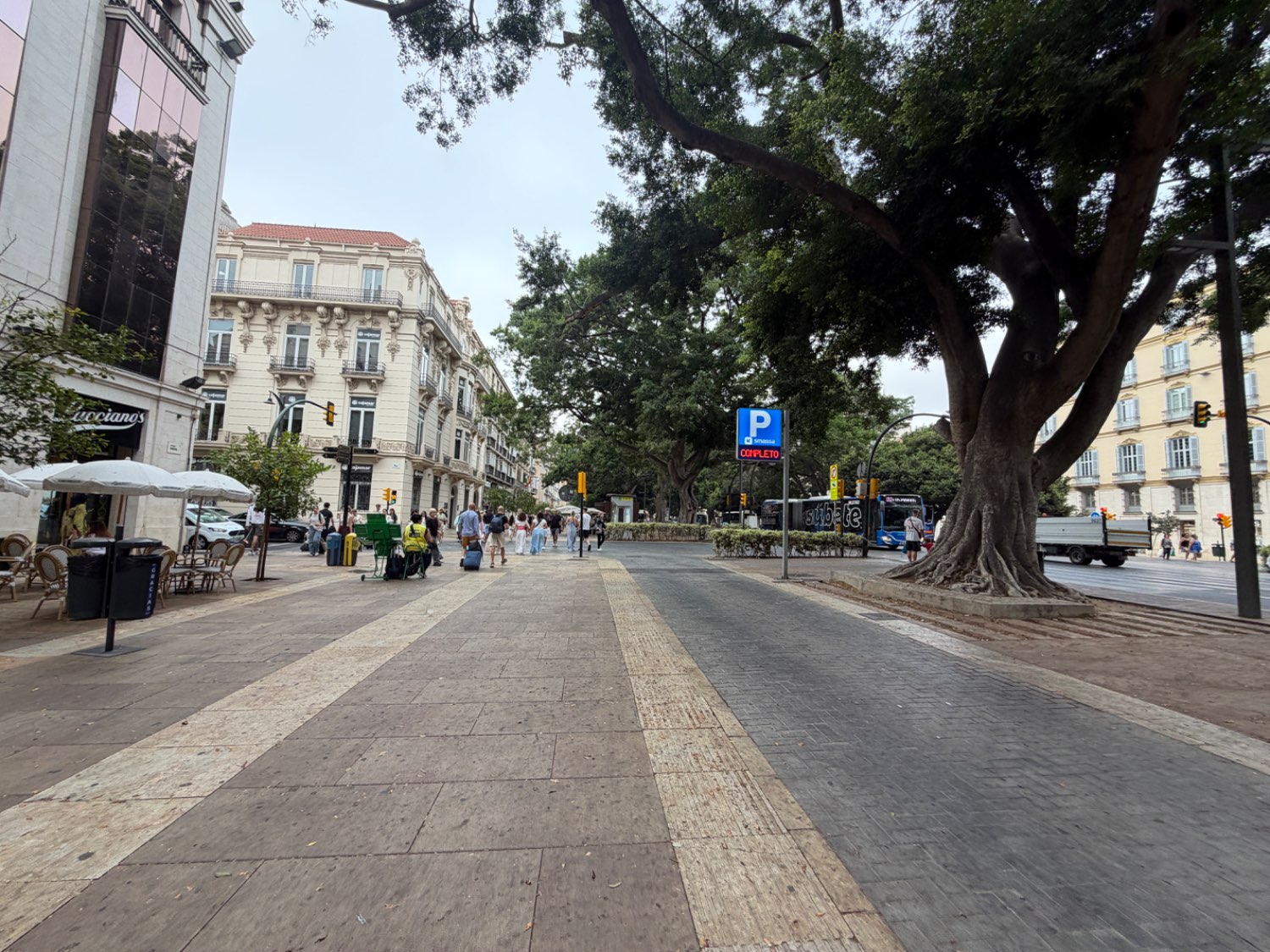 Business en lloguer in Centro histórico (Málaga)