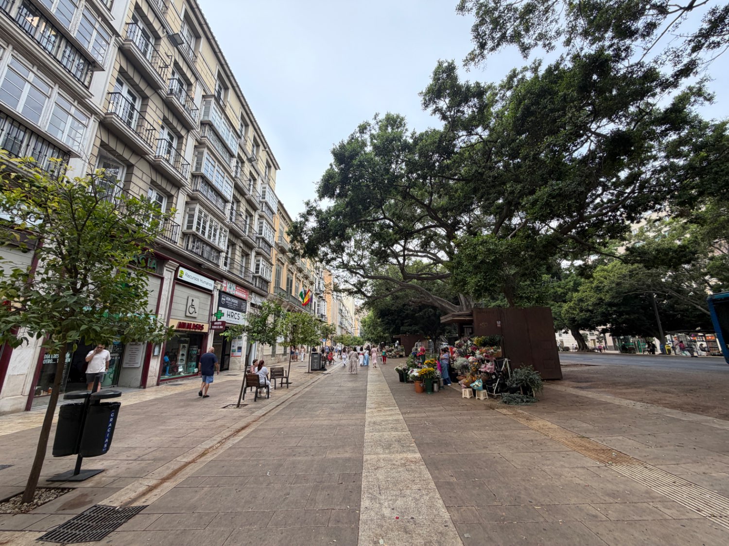 Business en lloguer in Centro histórico (Málaga)