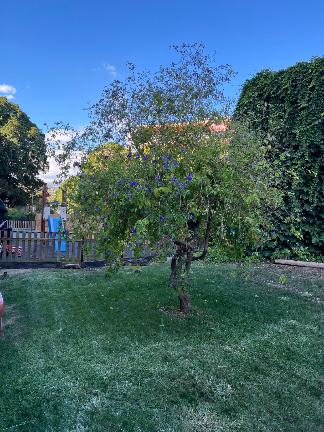 Piso en venta en Málaga-Este